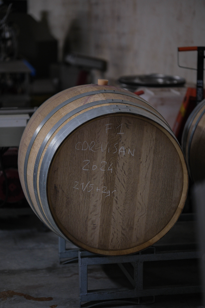 Barrique dans la cave remi pouizin en vallee du rhone